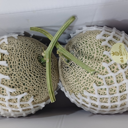 [고흥청과] 가락시장직송 세지멜론5kg3수/6kg2수