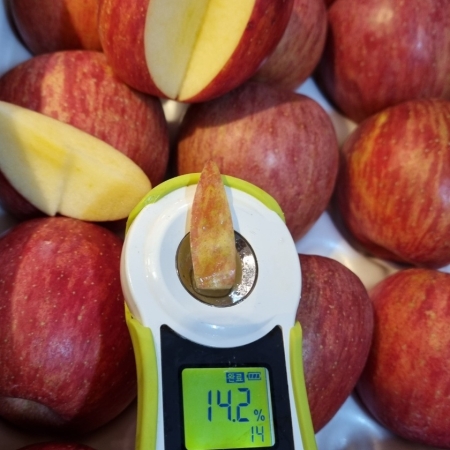 인기많은 꿀 사과(부사) 5kg 무료배송