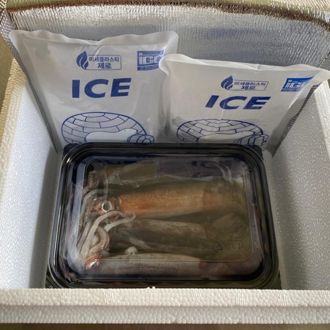 국내산 생물 급냉 통찜용오징어 1kg (7-8미) /2kg (14-16미)