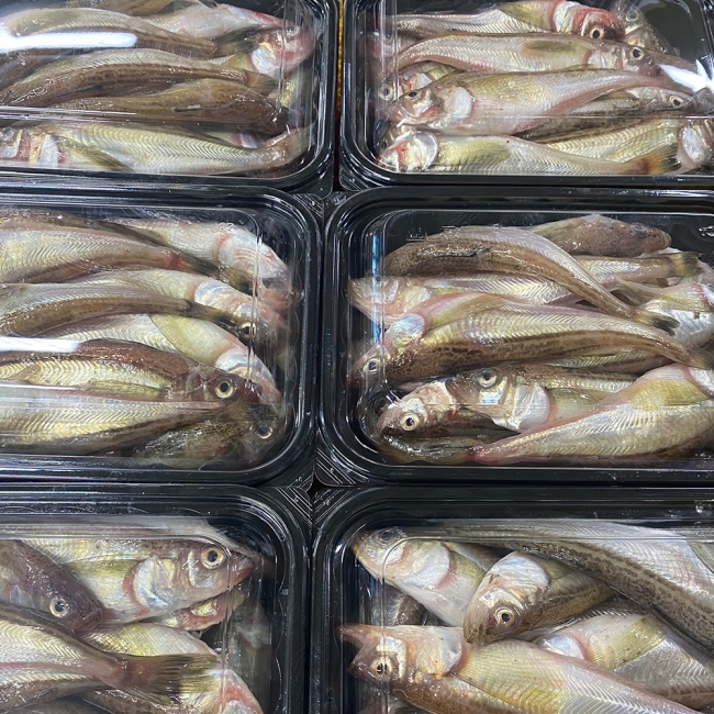 동해안 도루묵 1kg x 1팩 / 2팩