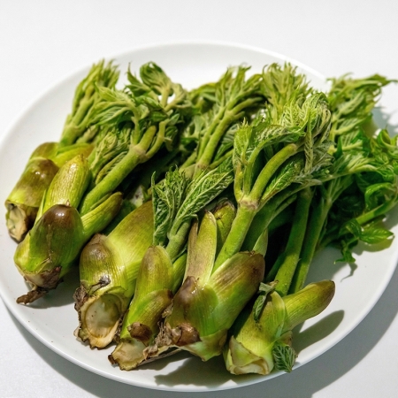 참두릅 300g / 500g / 1kg / 1.5kg / 2kg