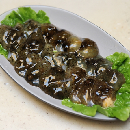 신선한 바다의 맛! 자연산 활 해삼 500g