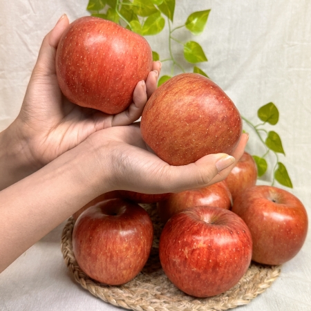 아삭아삭 달콤달콤  명품 부사 사과