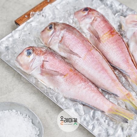 제주 통옥돔 100g ~200g (5미)