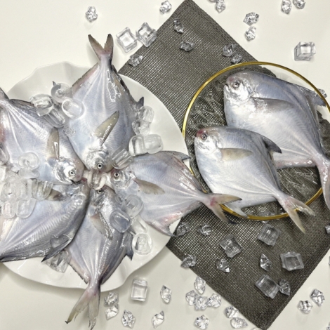 싱싱한 생물 병어 1kg