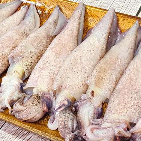 급냉 쫀득 달달 한입 한치 500g