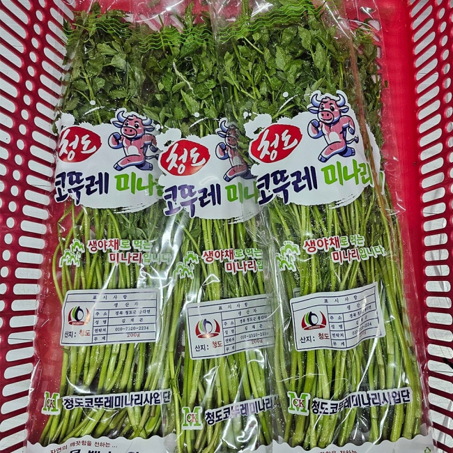 청도 미나리 200g/400g /800g/1kg/1.6kg/2kg