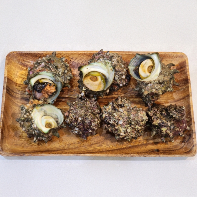 탱글탱글 오도독한 식감이 최고! 제철 뿔소라 1kg