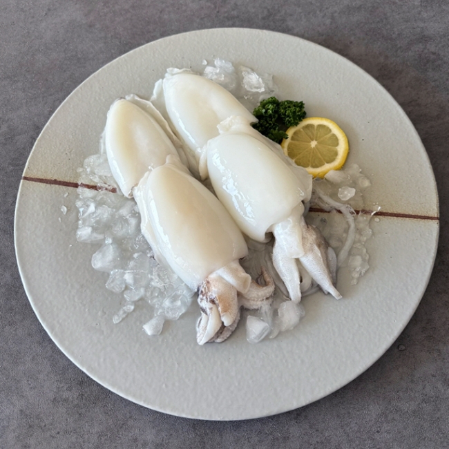 통통 쫄깃 담백 실속 통 갑오징어 2미