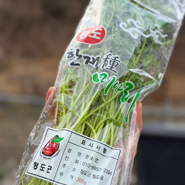국내산 청도 미나리 200g (1봉/3봉/5봉)
