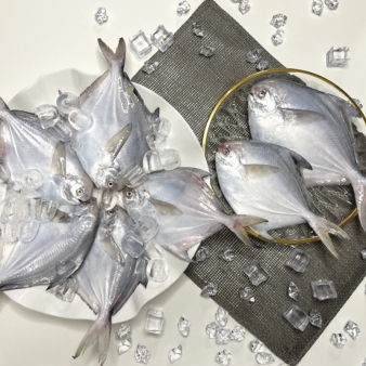 싱싱한 생물 병어 1kg