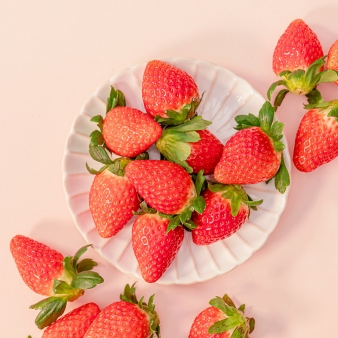 제철 딸기 설향 홍희 딸기 GAP인증 대과 중과 신선하게 산지직송