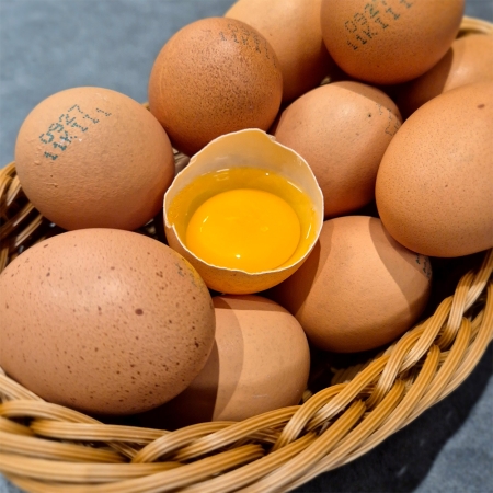 ★5%할인쿠폰★[난각번호 1번] 자연방사 무항생제 계란 유정란 20구