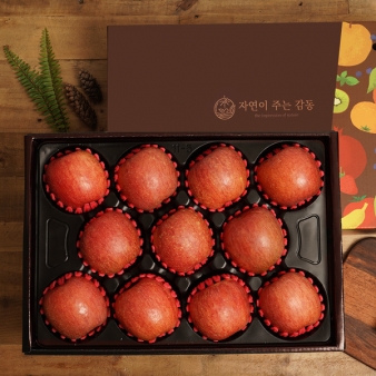 [선물세트] 명품프리미엄 사과선물세트 특대 5kg (10-12과) 보자기 제수용
