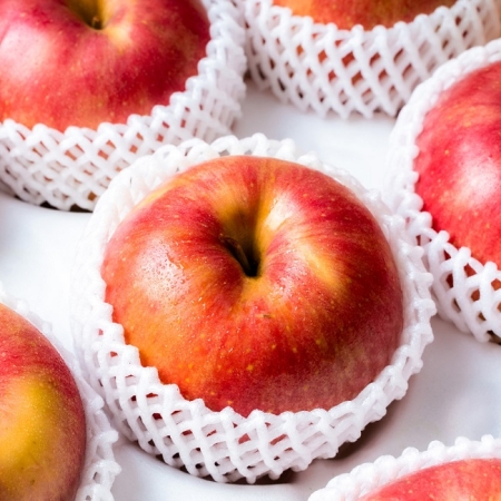 [재구매율1위] 산지직송 경북 사과 2kg 5kg 10kg 가정용