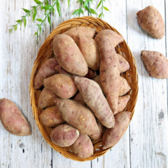 25년 햇고구마 햇밤고구마 비세척 꿀밤고구마 2kg/3kg/5kg/10kg 늘해랑