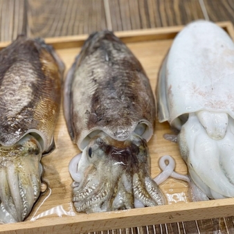 쫄깃쫄깃 신선한 횟감용 갑오징어 1kg