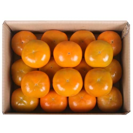 [GAP인증]25년 진영 햇단감 3kg/5kg 4종 택1