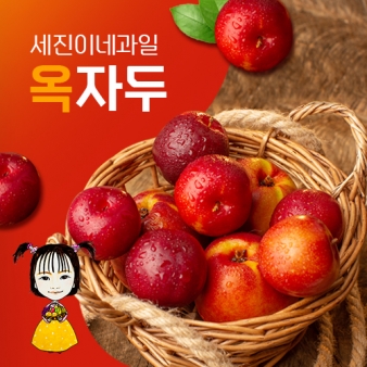 [착한가격]세진이네과일 새콤달콤 고당도 자두 