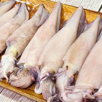 급냉 쫀득 달달 한입 한치 500g