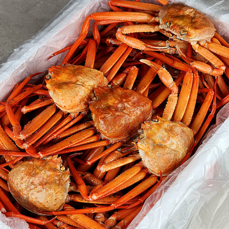 산지직송 구룡포 연지홍게 홍게제철 실속 가성비 3kg (9-12미)