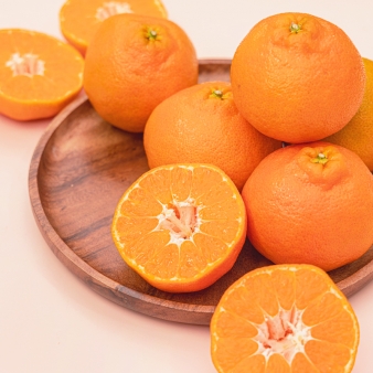 제주 진한 달콤함 레드향 2.5kg 4.5kg