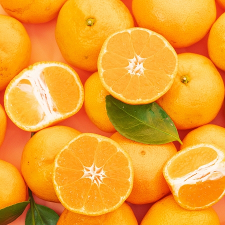 진한 달콤한 맛 제주 감귤 4.5kg