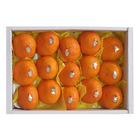[온누리 팜]달콤한 카라향3kg(14~18개입)