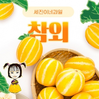 [착한가격] 세진이네 과일 맛있는 가정용 / [정품] 프리미엄 노란 성주 꿀 참외