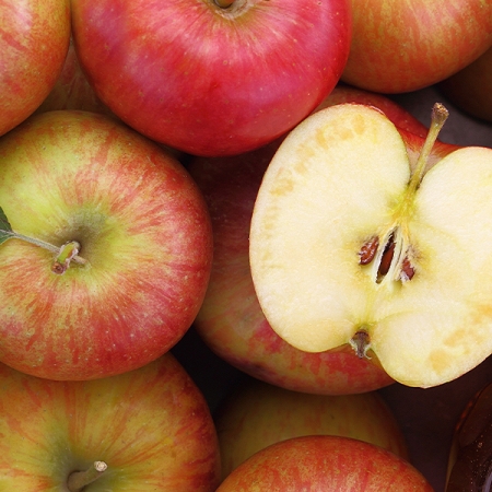 [산지급송] 고당도 명품 사과[부사] 3kg/5kg