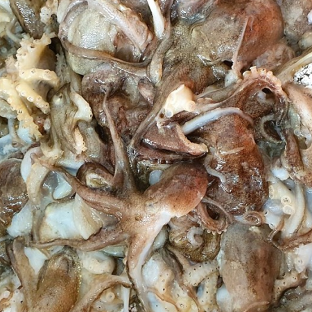 산지직송 제철 고흥 급냉쭈꾸미 500g  4~7미 