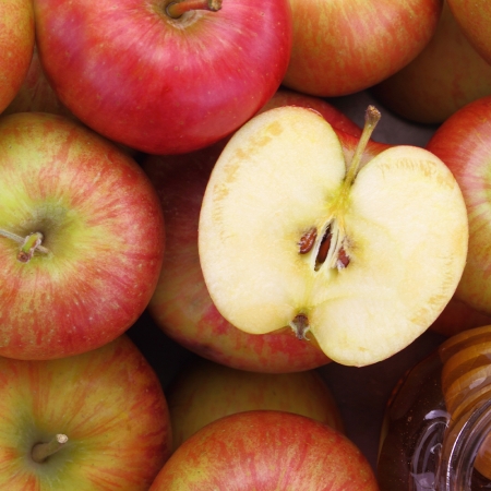 [향기담은] 경북사과 고당도 꿀부사 2kg/3kg/5kg (정품)