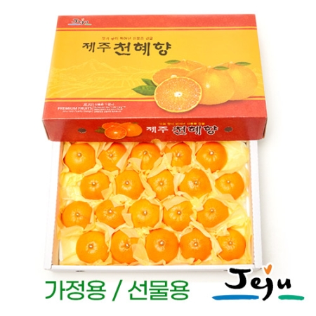 제주 예성농원 천혜향3kg/5kg(가정용/선물용)대과