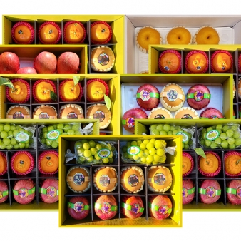 [착한가격] 세진이네 과일 설날 프리미엄 과일 선물세트 