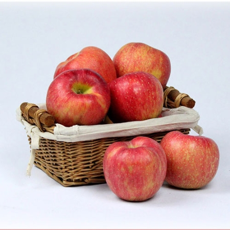 [품질보장]정품 부사사과_중량옵션선택