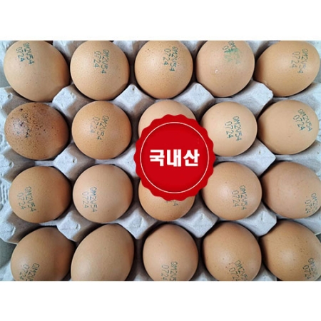 평창양계  生生우리알 왕란 30알+30알 