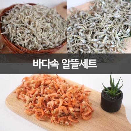 건해몽 바다속 알뜰세트