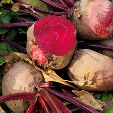 해남 친환경 유기농 레드비트 2kg/3kg/5kg/10kg