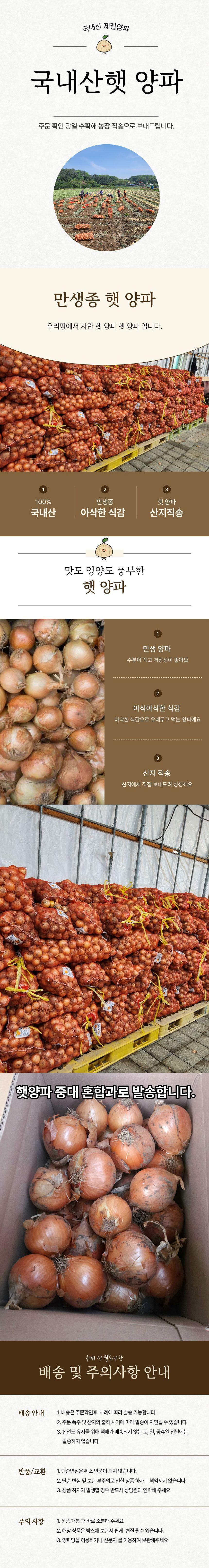 [산지직송] 만생종_햇양파 중대 혼합 [1kg-10kg]